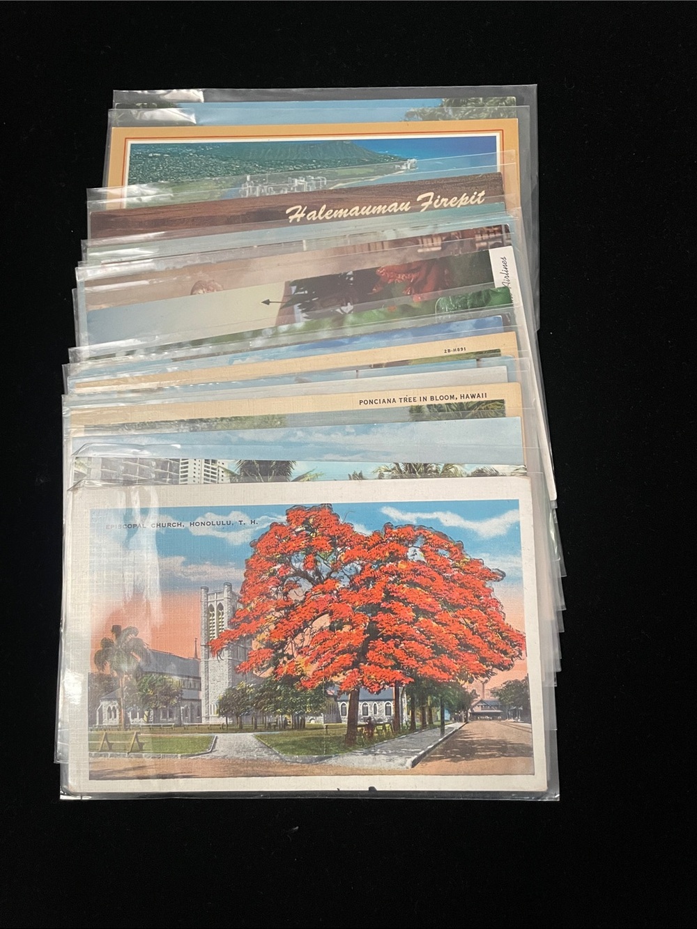 Vintage Hawaiian Postcard Lot Featuring Bright Orange Poinciana Tree